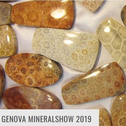 17-genova-mineralshow
