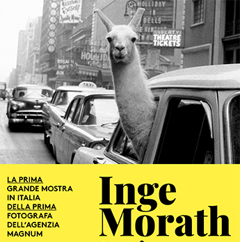 inge-morath